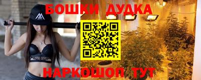 молекула духа Заводоуковск