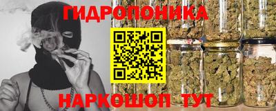 молекула духа Заводоуковск