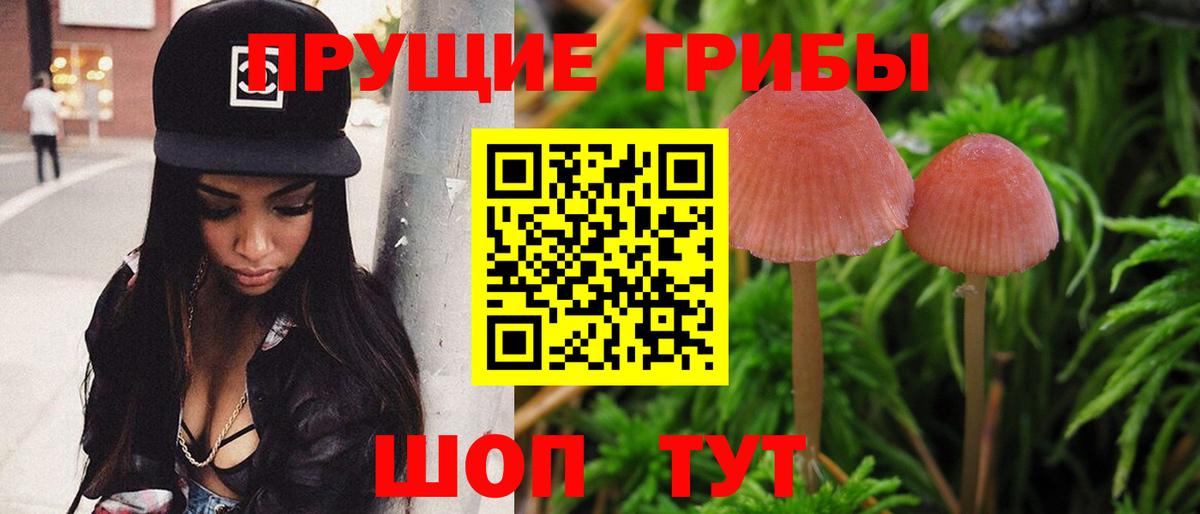 Галлюциногенные грибы мухоморы Лесосибирск