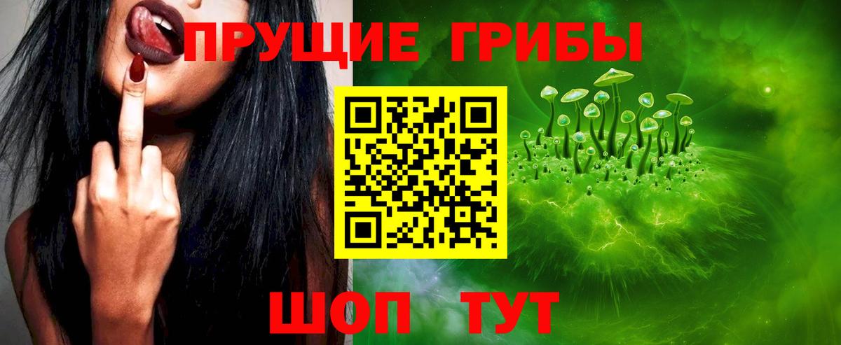 Псилоцибиновые грибы Psilocybe  Вход с VPN  Псилоцибиновые грибы Magic Shrooms  Лесосибирск 